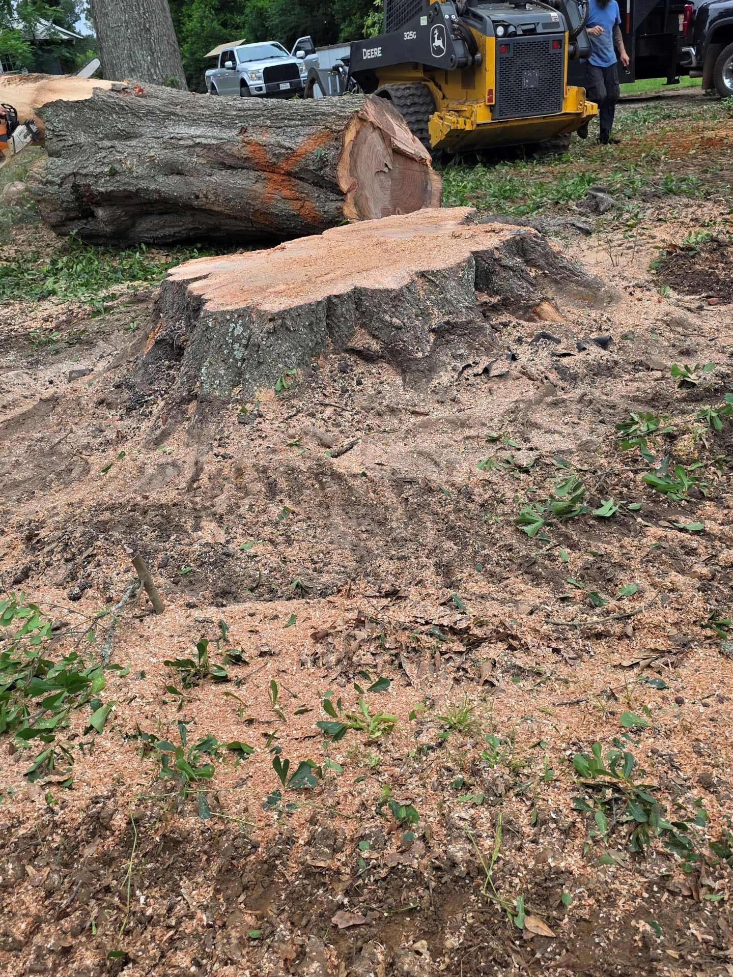 Freshly cut tree stump in a muddy yard with a fallen log and construction equipment in the background