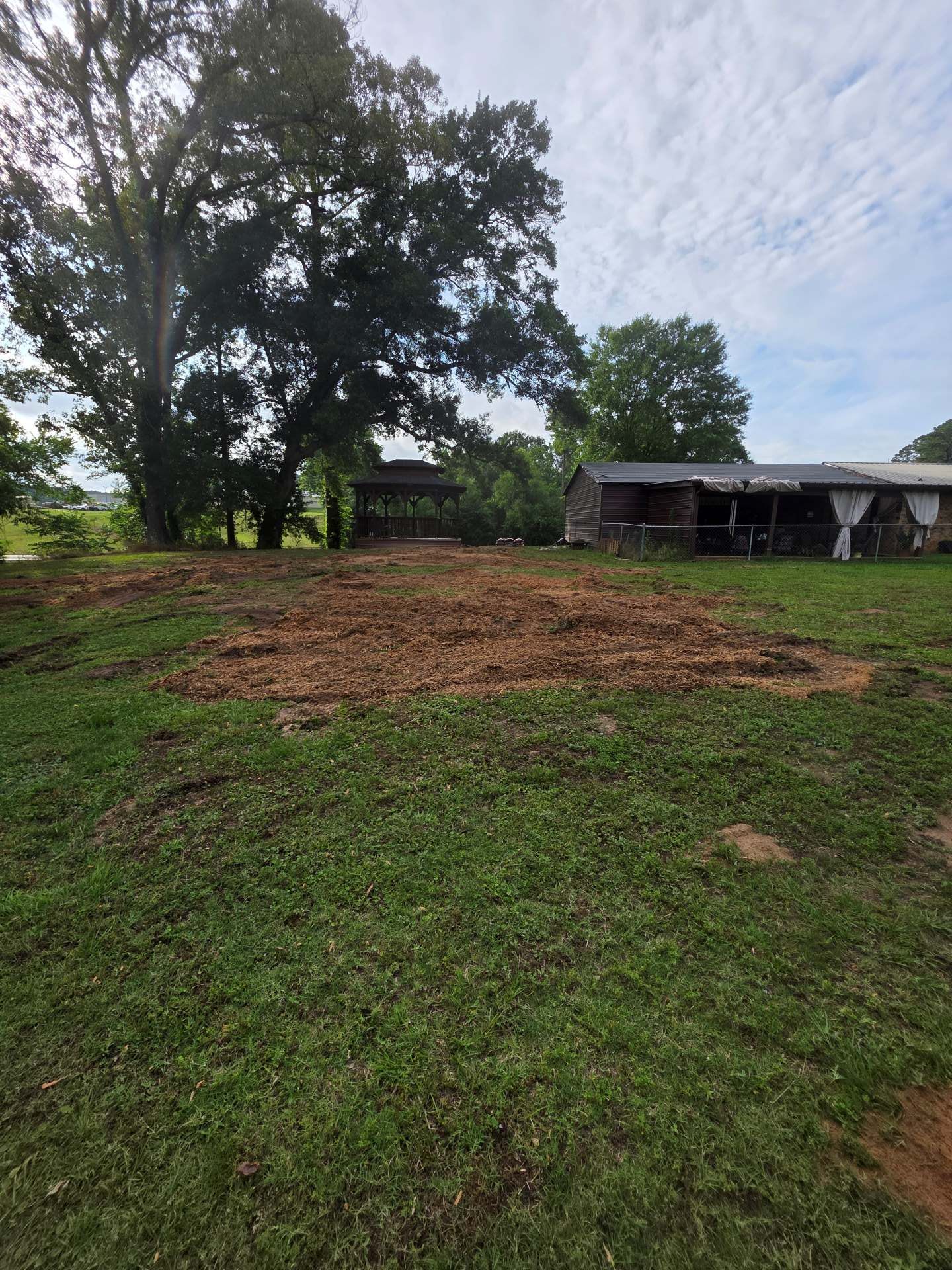 Grassy rural yard with a large tree, bare dirt patch, and a small shed under a cloudy sky