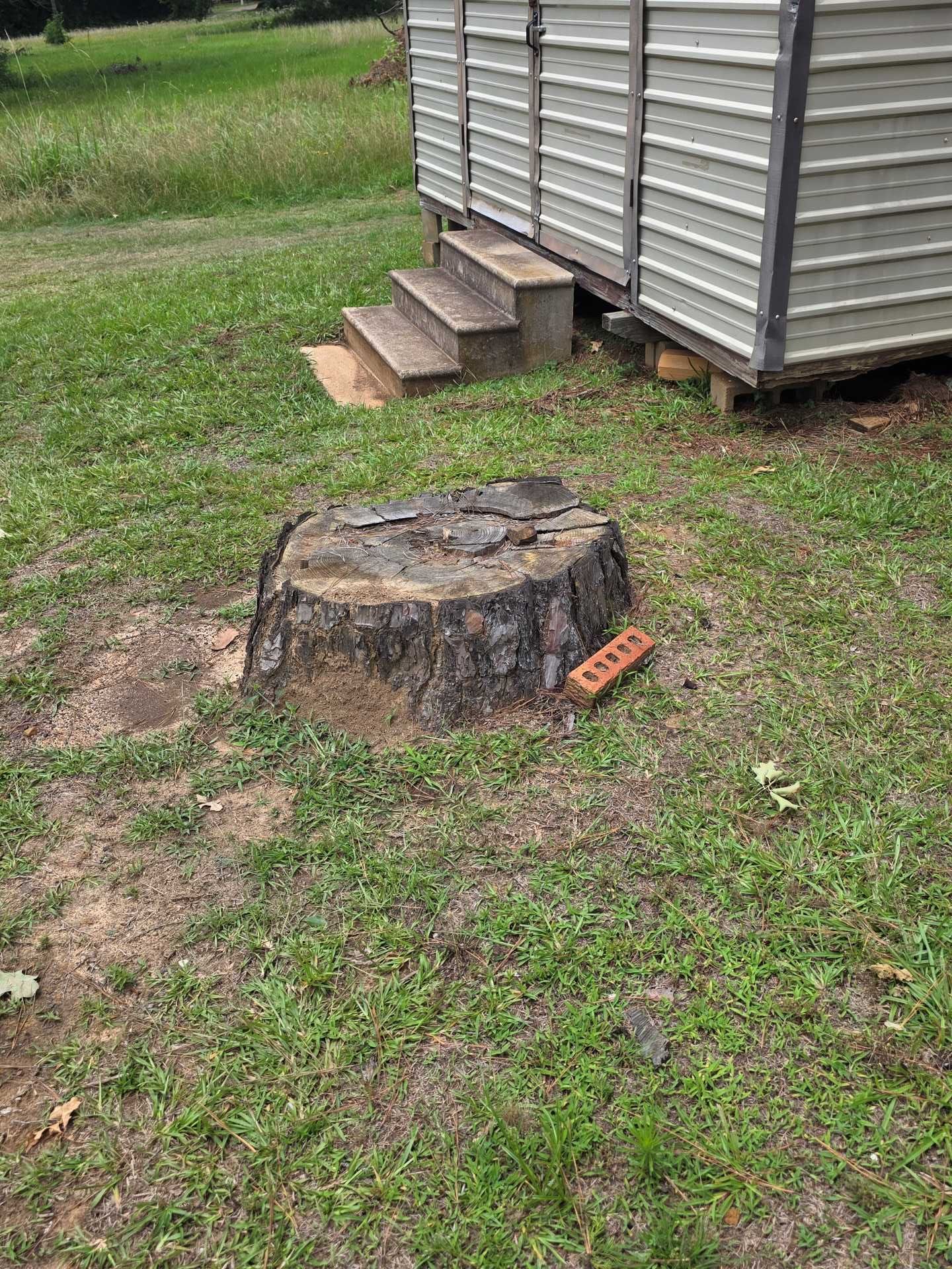 Tree stump beside a gray shed with wooden steps, on patchy grass.