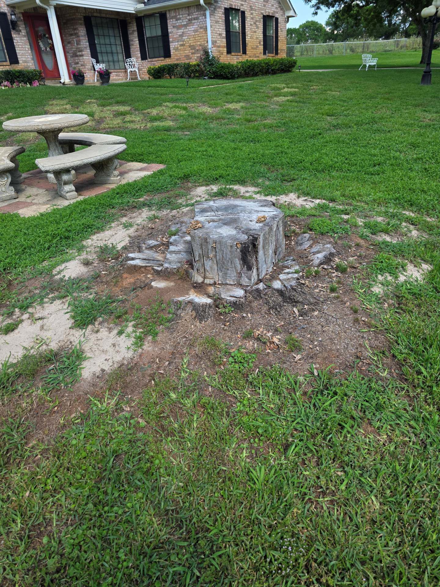 Tree stump in a grassy yard near a stone picnic table and a brick house.