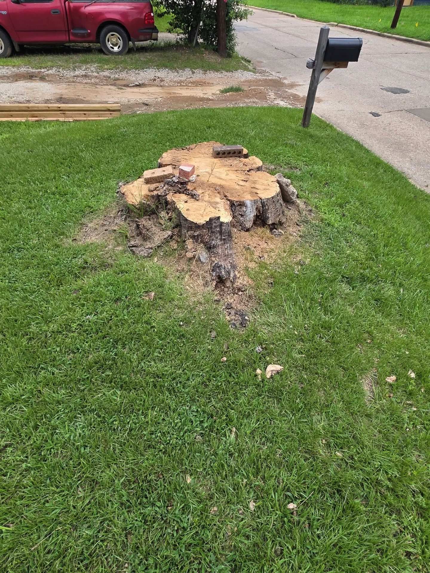 Large tree stump in a grassy front yard near a mailbox and driveway, with a red vehicle in the background