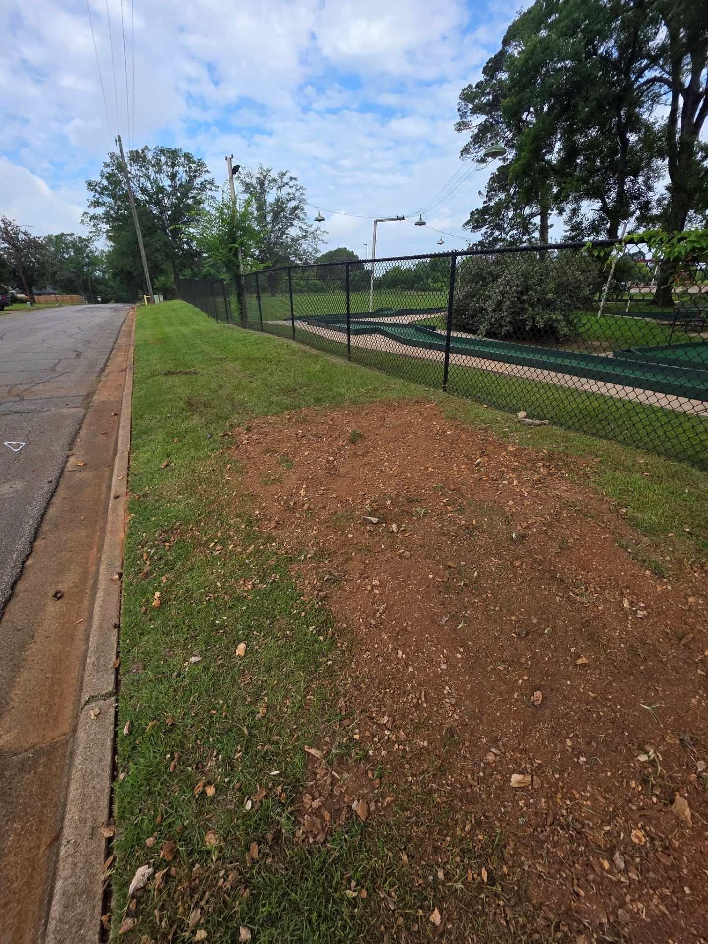 Grassy roadside beside a chain-link fence and paved path under a partly cloudy sky