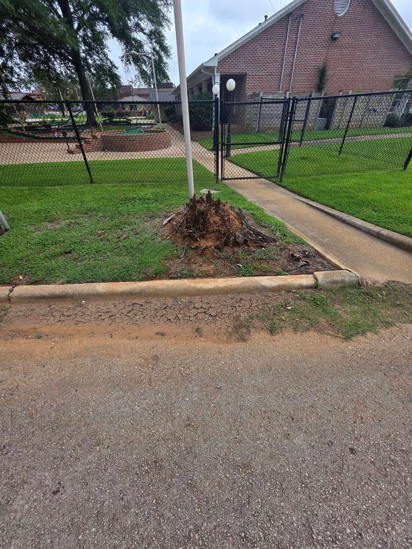 Piled leaves and debris at the base of a signpost beside a curb, sidewalk, and grassy area