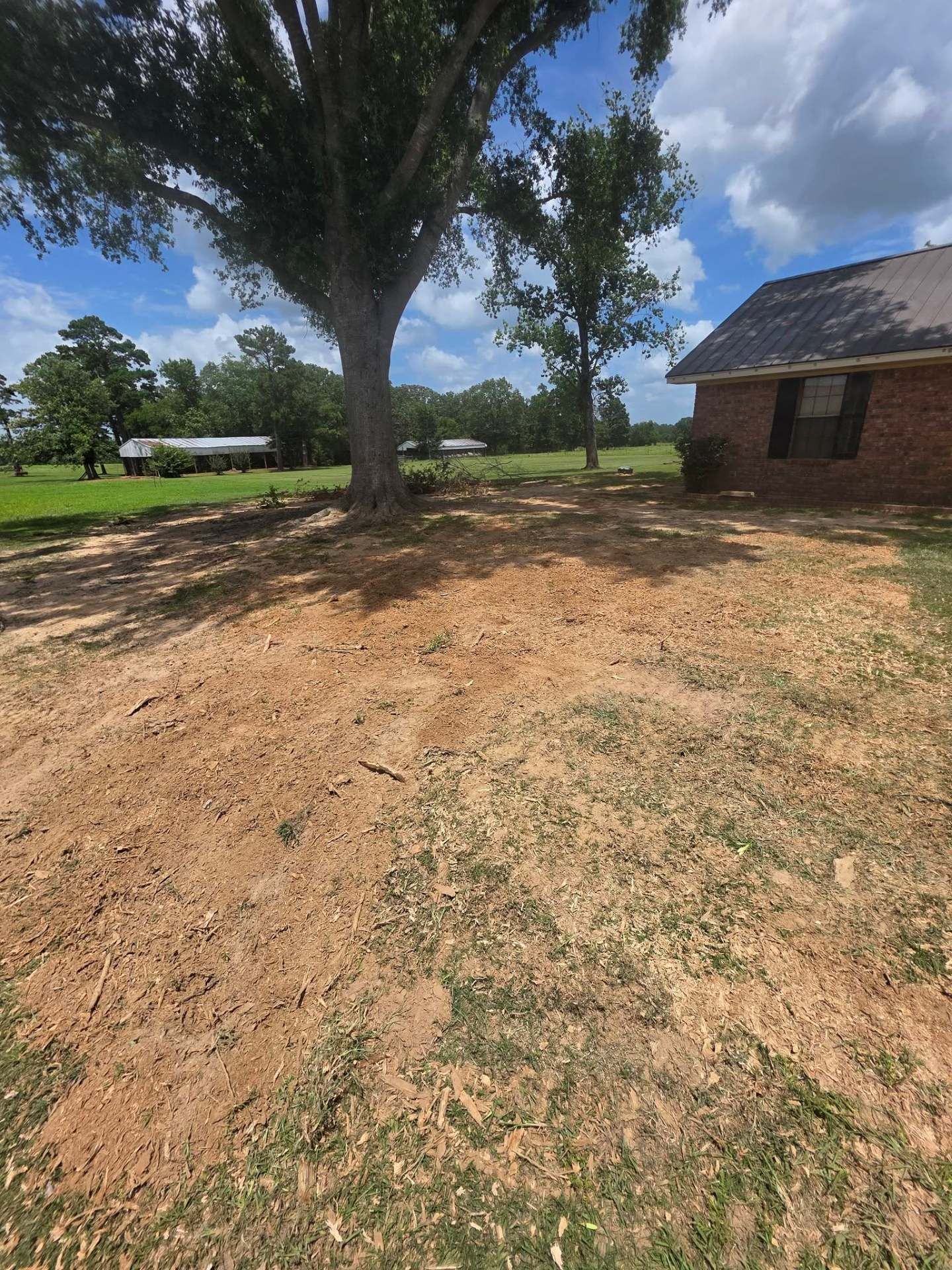 Dirt yard with a large tree, brick house, and open grassy field under a partly cloudy sky