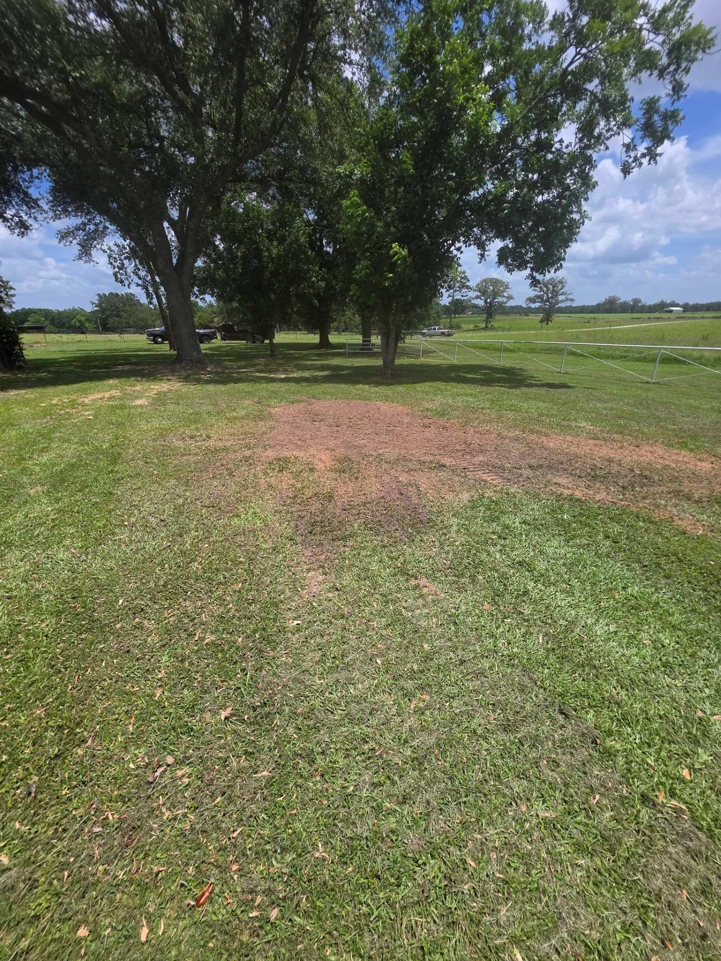 Grassy field with several trees and a dirt patch under a partly cloudy sky