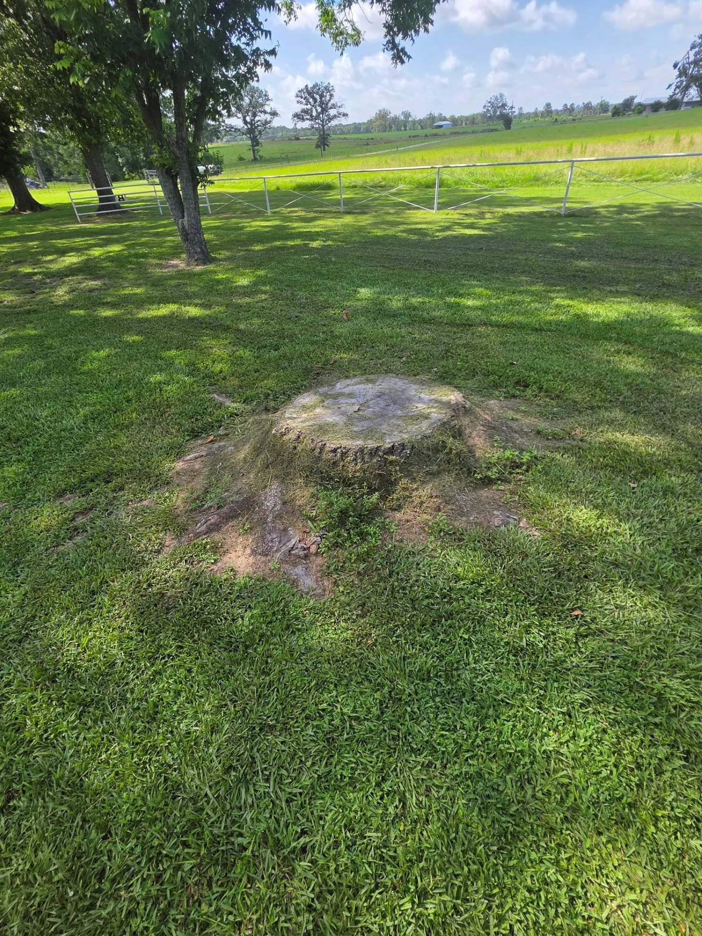 Grassy field with a low tree stump in the foreground under a bright, partly cloudy sky