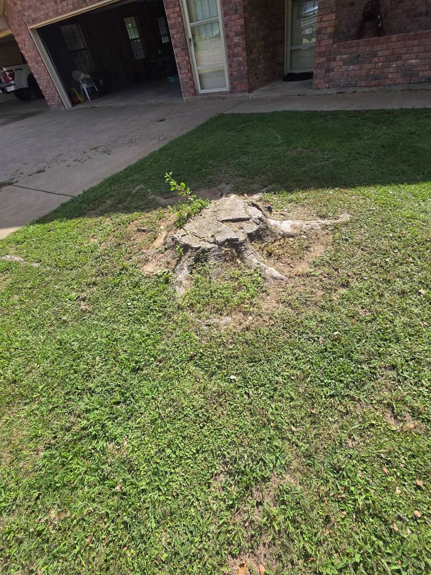 Grassy yard with a large tree stump near a brick house and driveway