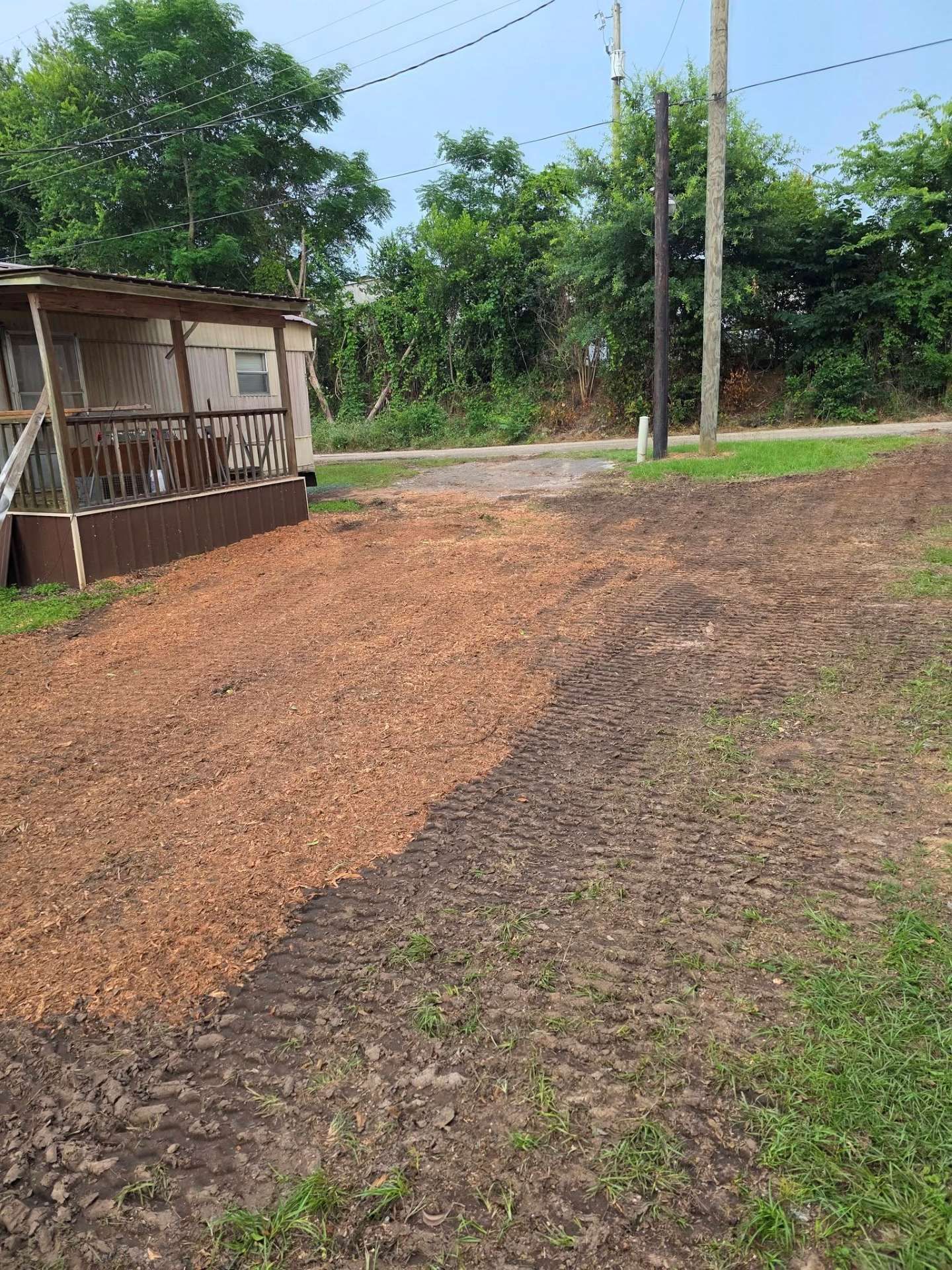 Rural dirt path beside a small wooden house, with utility poles and trees in the background.