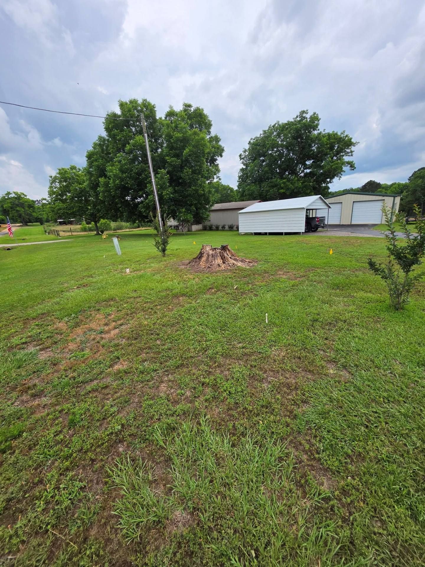 Grassy yard with a small stump, leafy trees, and a white shed under a cloudy sky.