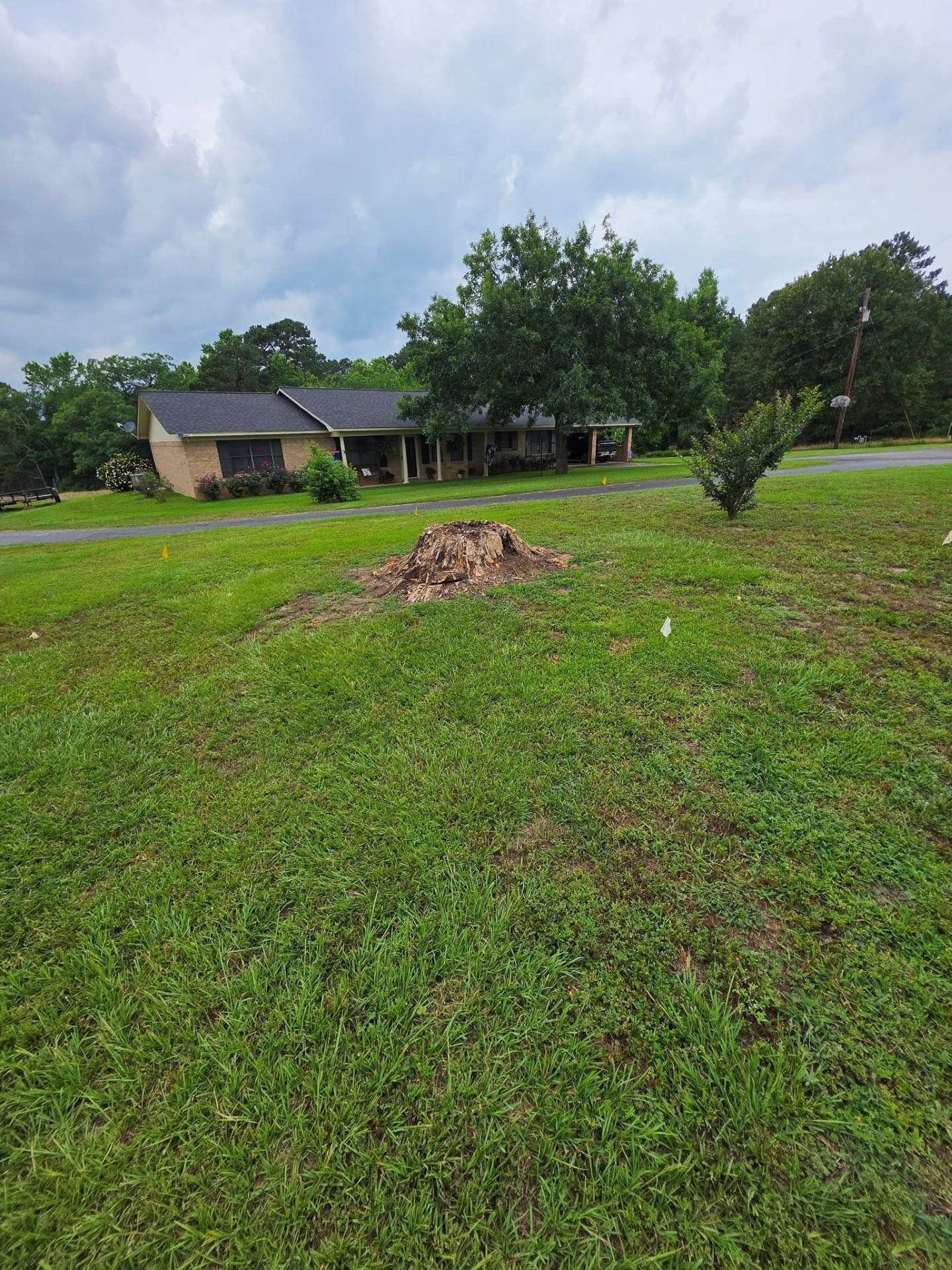 Grassy front yard with a small tree stump, house in the background, and cloudy sky.