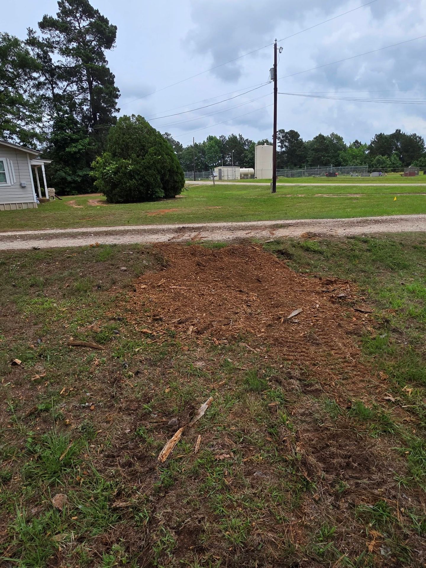 Mud pile on a grassy roadside beside a dirt path, with a utility pole and trees in the background.