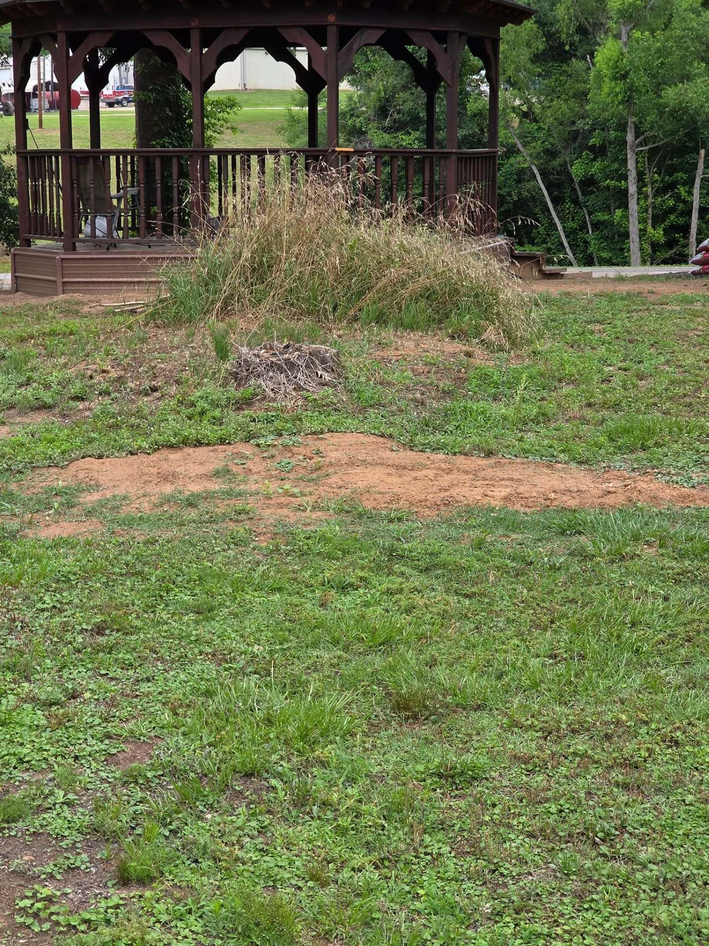 Grassy yard with a wooden gazebo and a patch of bare dirt in the foreground