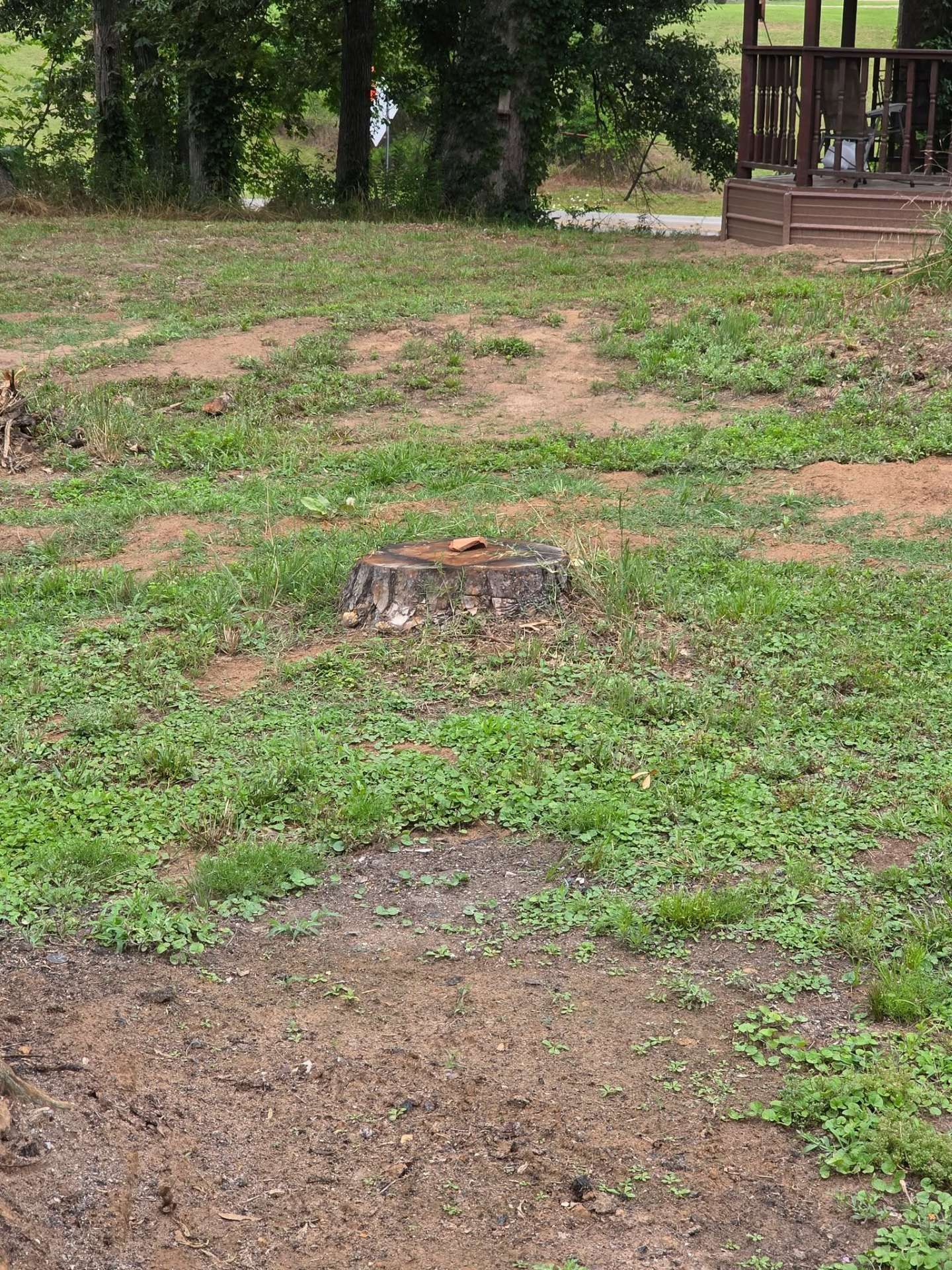 Grassy yard with exposed tree stumps and a wooden porch in the background