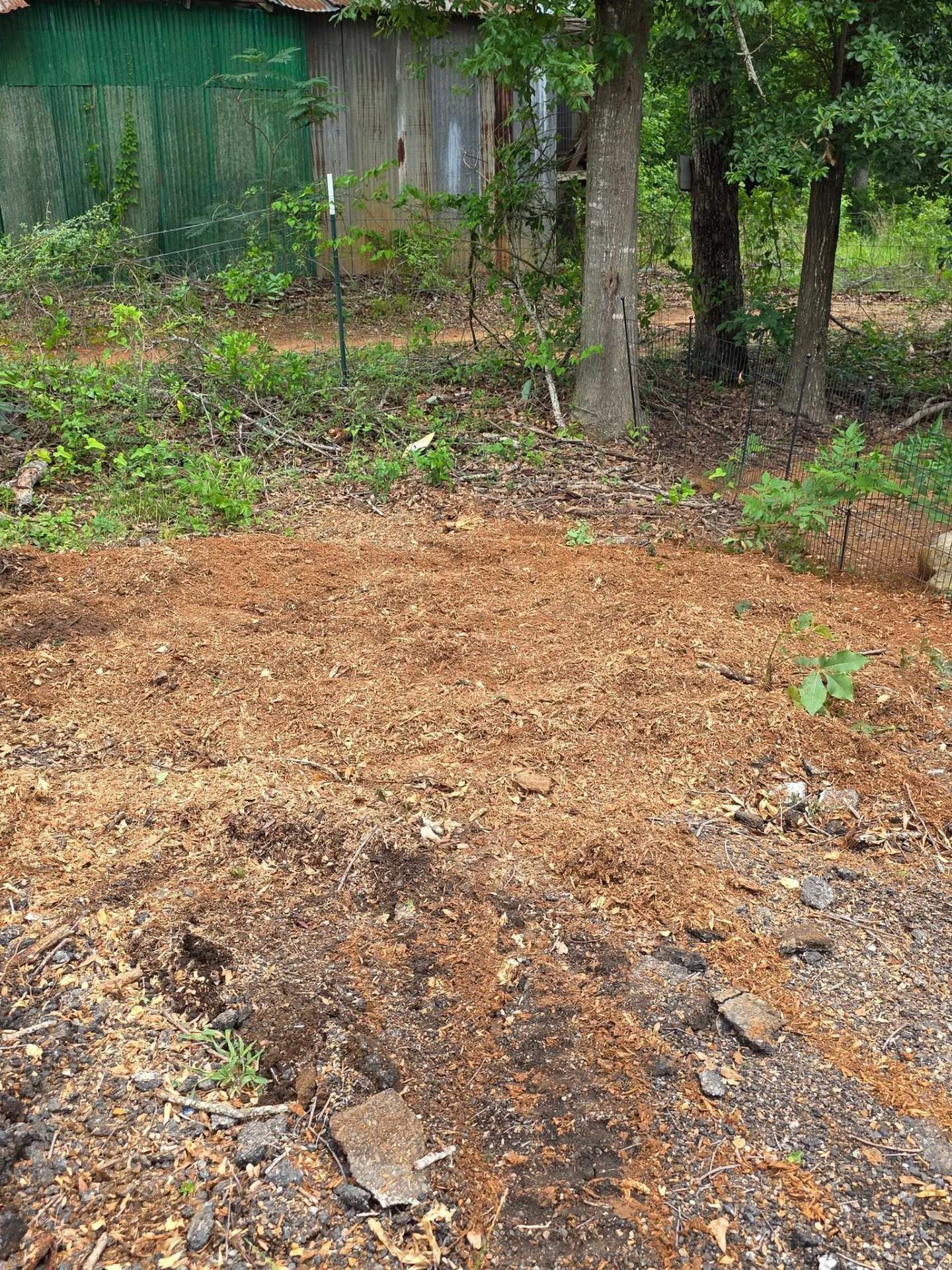Bare dirt patch in a wooded yard with trees, green foliage, and a fence in the background