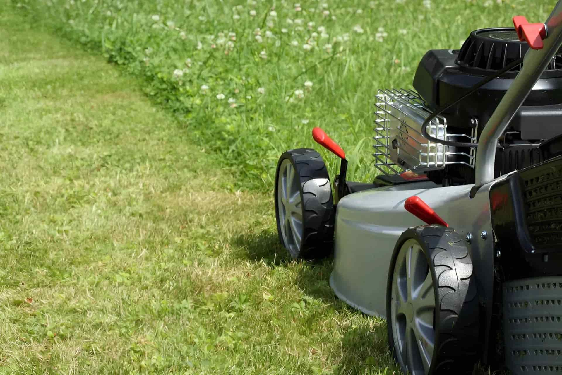 A Lawn Mower Is Cutting A Lush Green Lawn — Limburg Lawn & Property Maintenance In Hyde Park, QLD