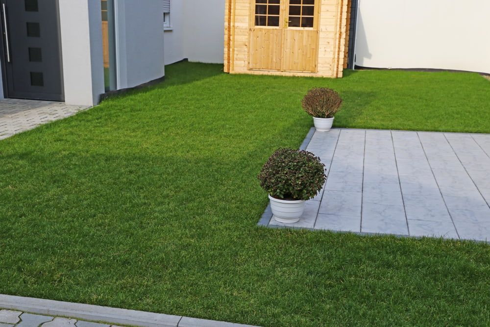 A Lush Green Lawn With A Wooden Shed In The Background — Limburg Lawn & Property Maintenance In Hyde Park, QLD