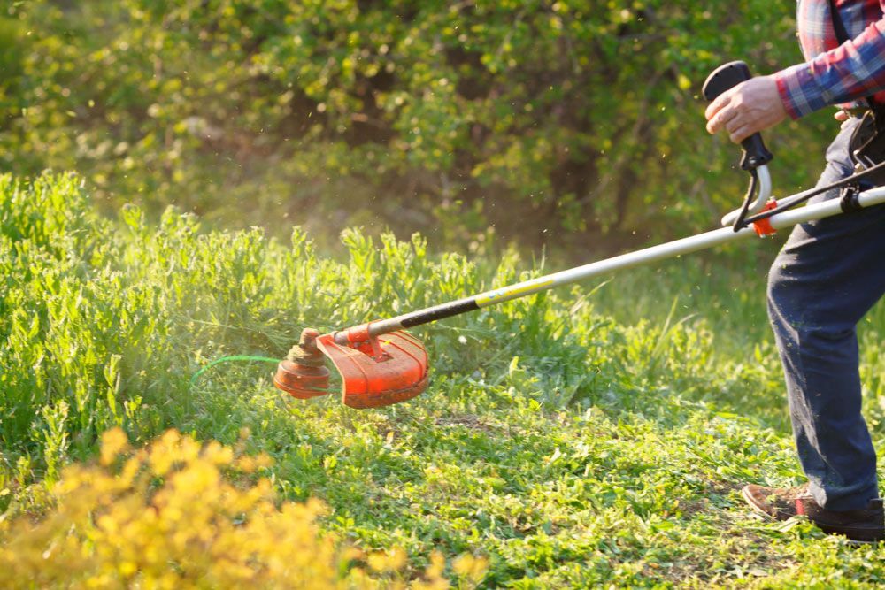 A Man Is Cutting Grass With A Lawn Mower — Limburg Lawn & Property Maintenance In Hyde Park, QLD