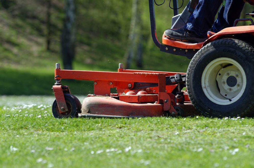 A Person Is Riding A Lawn Mower On A Lush Green Field — Limburg Lawn & Property Maintenance In Townsville, QLD