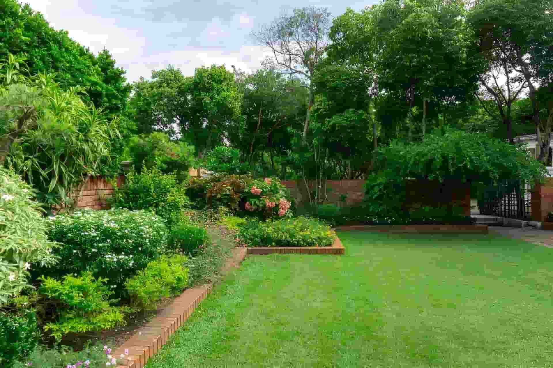 A Lush Green Garden With Lots Of Trees And Bushes — Limburg Lawn & Property Maintenance In Hyde Park, QLD
