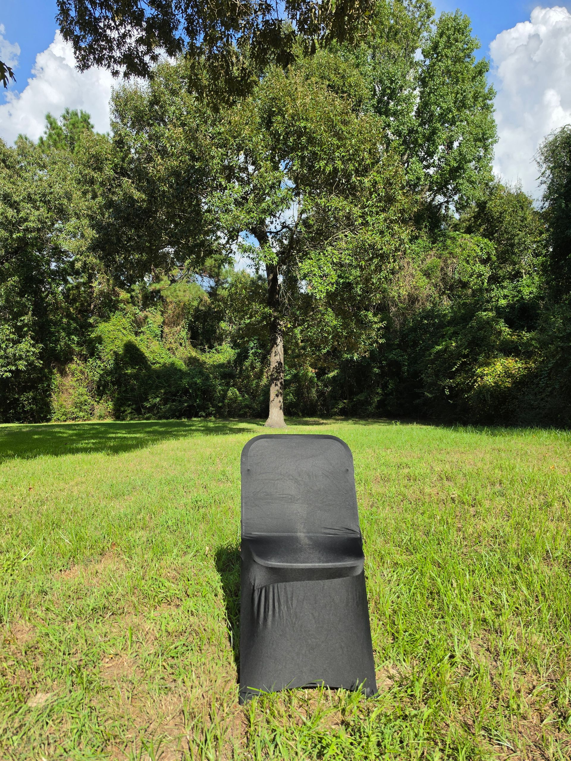 Chair Covers