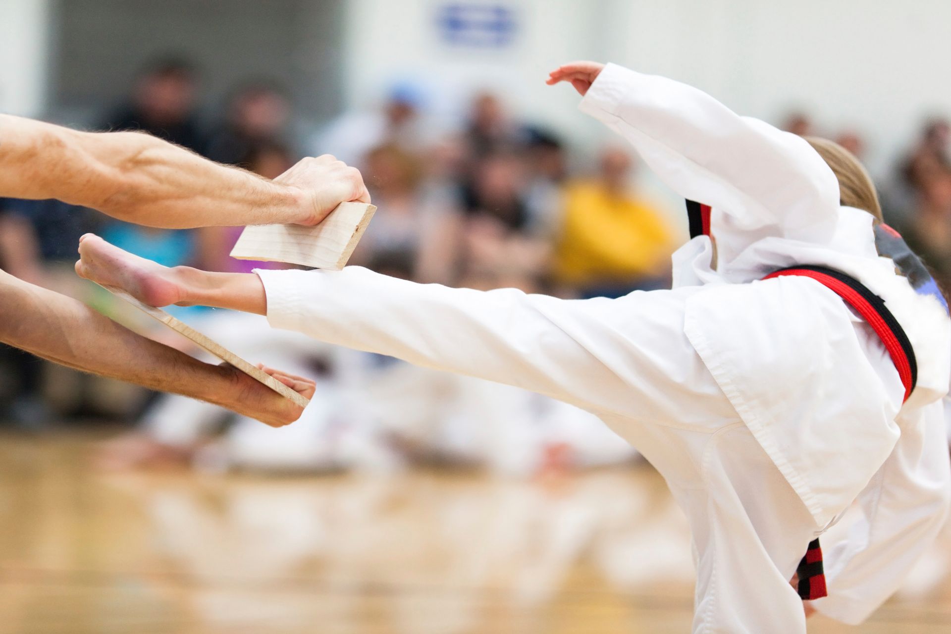 Youth Martial Arts Belt Testing — Palos Heights, IL — T-USA Martial Arts