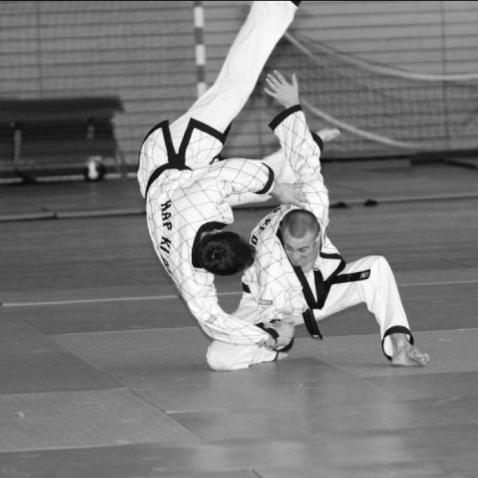 HapKiDo Program — Palos Heights, IL — T-USA Martial Arts