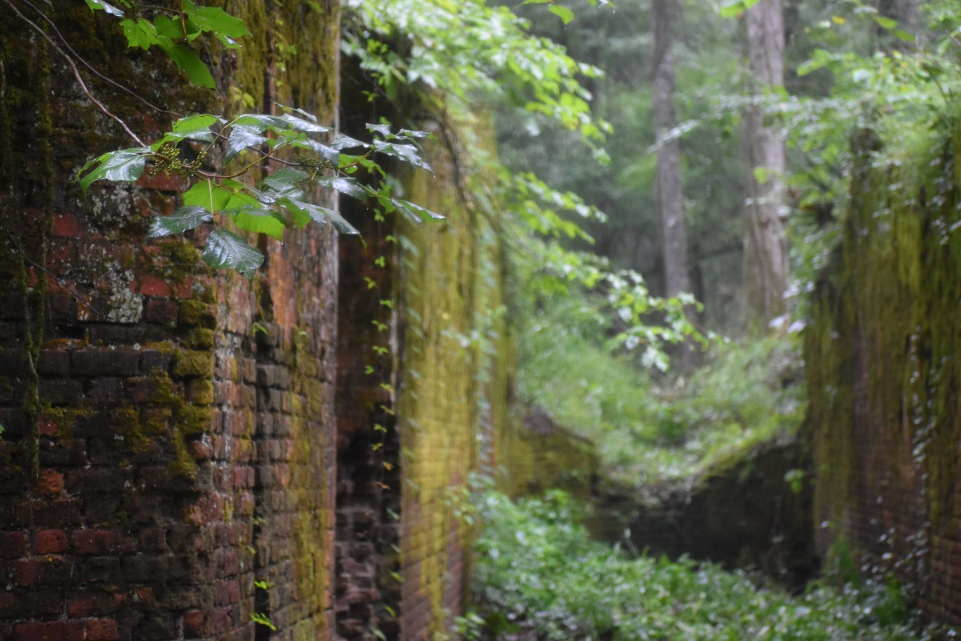 Old Santee Canal