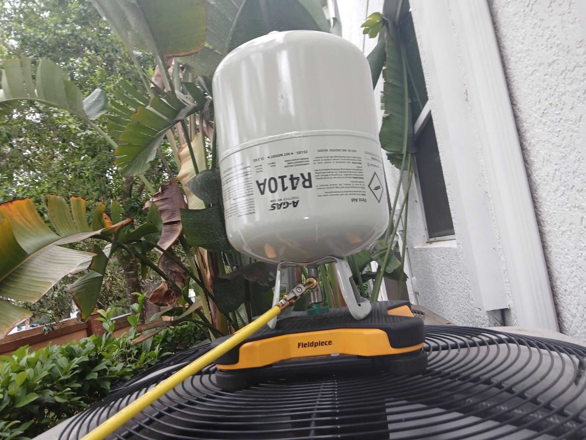 White water tank on a yellow base beside a building, with banana plants and a black hose in the foreground.