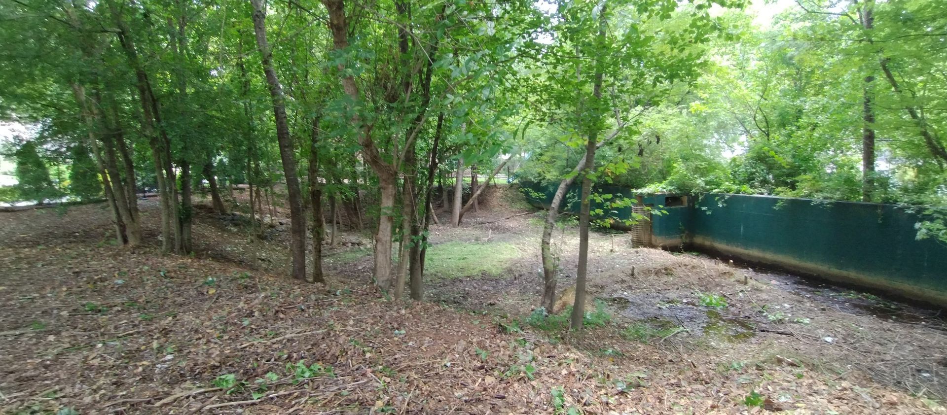 A wooded area with a dry, debris-filled ground and a green privacy fence on the right side.