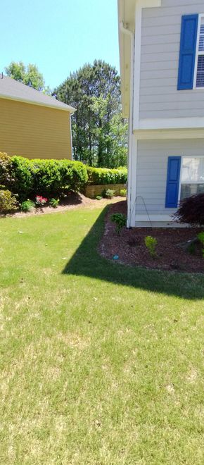 A side yard between a tan house and a gray two-story house with blue shutters, featuring a lawn and landscaped bushes. A side yard between a tan house and a gray two-story house with blue shutters, featuring a lawn and landscaped bushes.