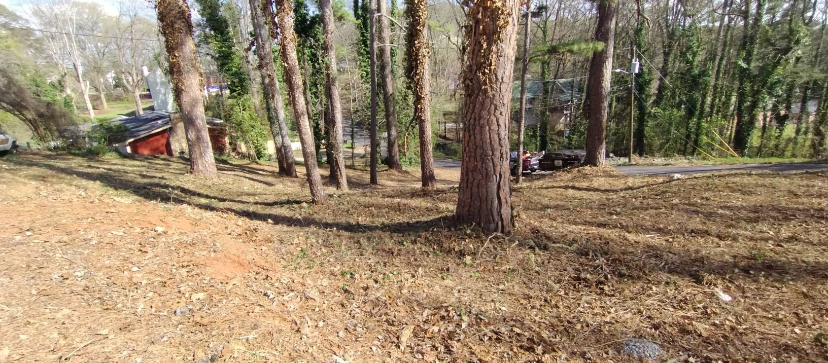 A sloping, wooded landscape covered in brown pine needles and scattered debris, leading down toward a road and homes. A sloping, wooded landscape covered in brown pine needles and scattered debris, leading down toward a road and homes.