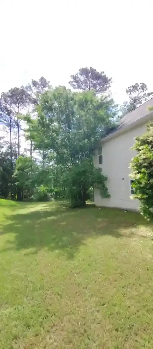 A side view of a white residential building with a large green tree growing next to it on a sunny, grassy lawn.