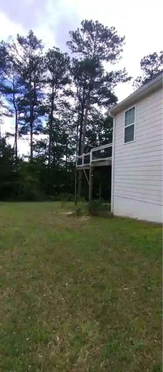A white house with a raised wooden deck overlooks a grassy backyard bordered by tall pine trees under a cloudy sky.