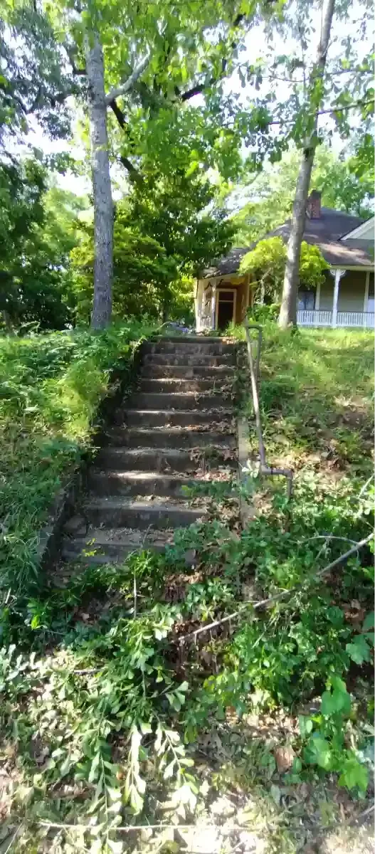 A steep set of weathered wooden steps leads upward through a lush, green wooded area toward a house with a porch.