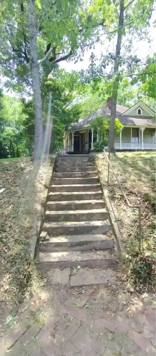 A straight set of concrete stairs leading up a grassy hill to the front entrance of a house shaded by large trees.
