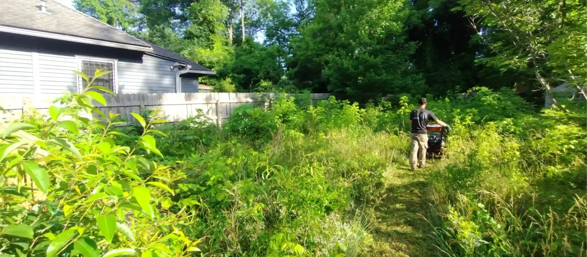 A person walks through a tall, overgrown yard next to a house and a wooden fence, pushing a mower.