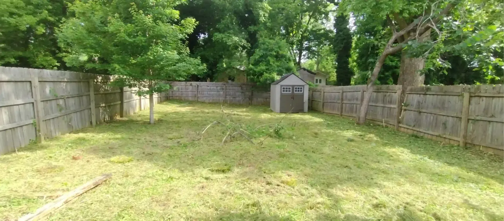 A green backyard with a wooden fence, a small shed in the center, and trees in the background.