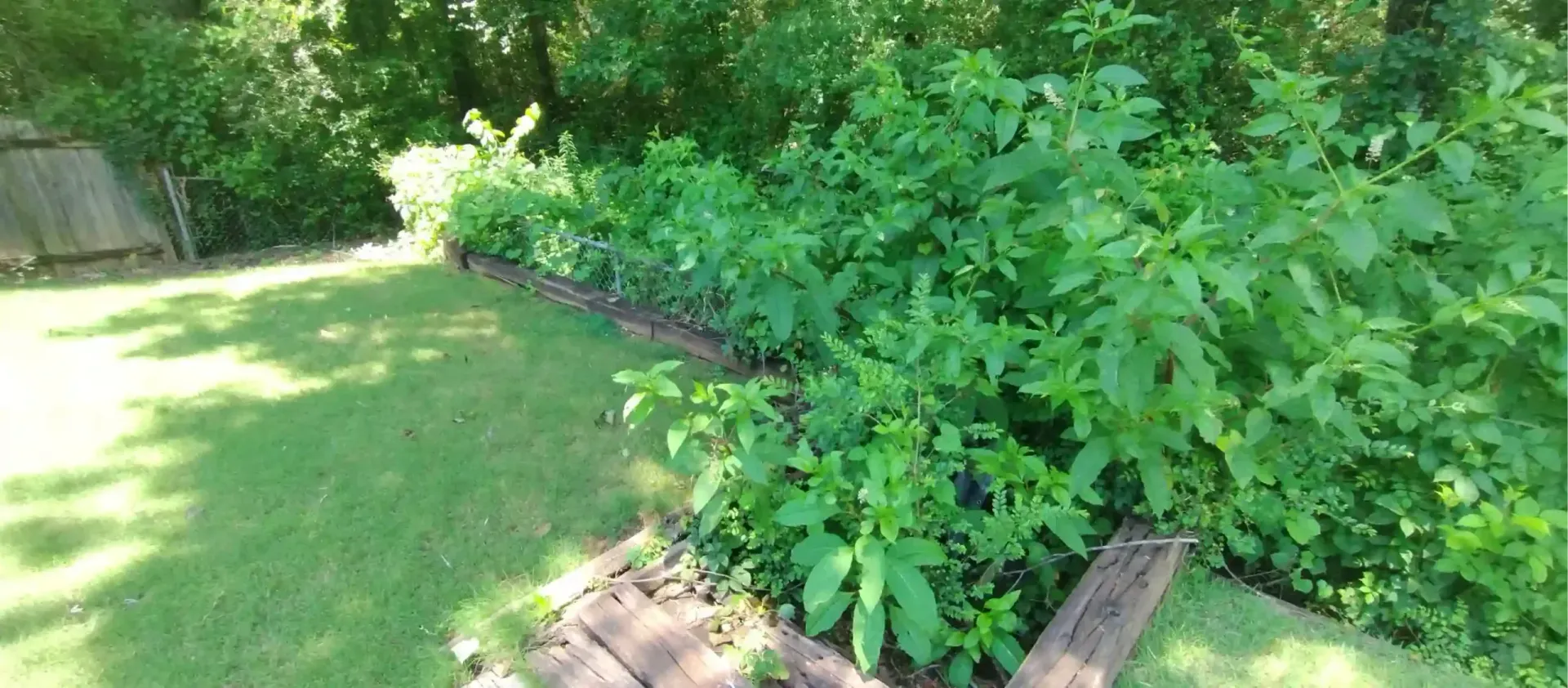 A garden bed with lush green plants bordered by wooden ties next to a grassy lawn on a sunny day.