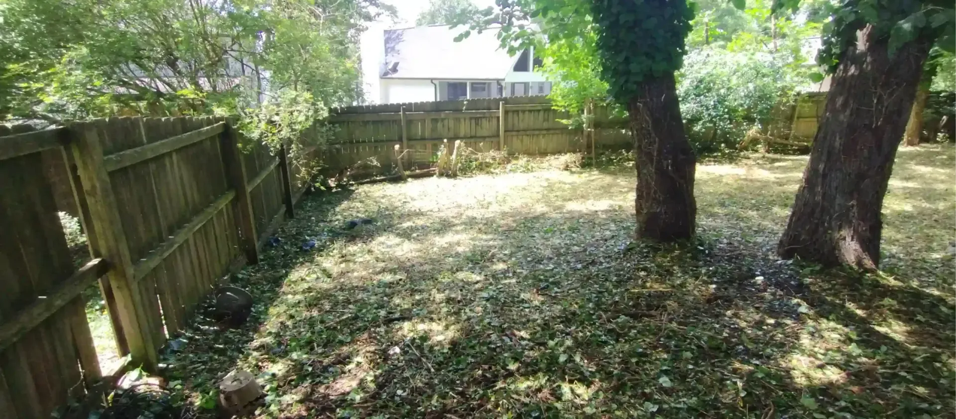 A sunlit backyard featuring a wooden fence on the left, two large trees on the right, and ground covered in fallen leaves.