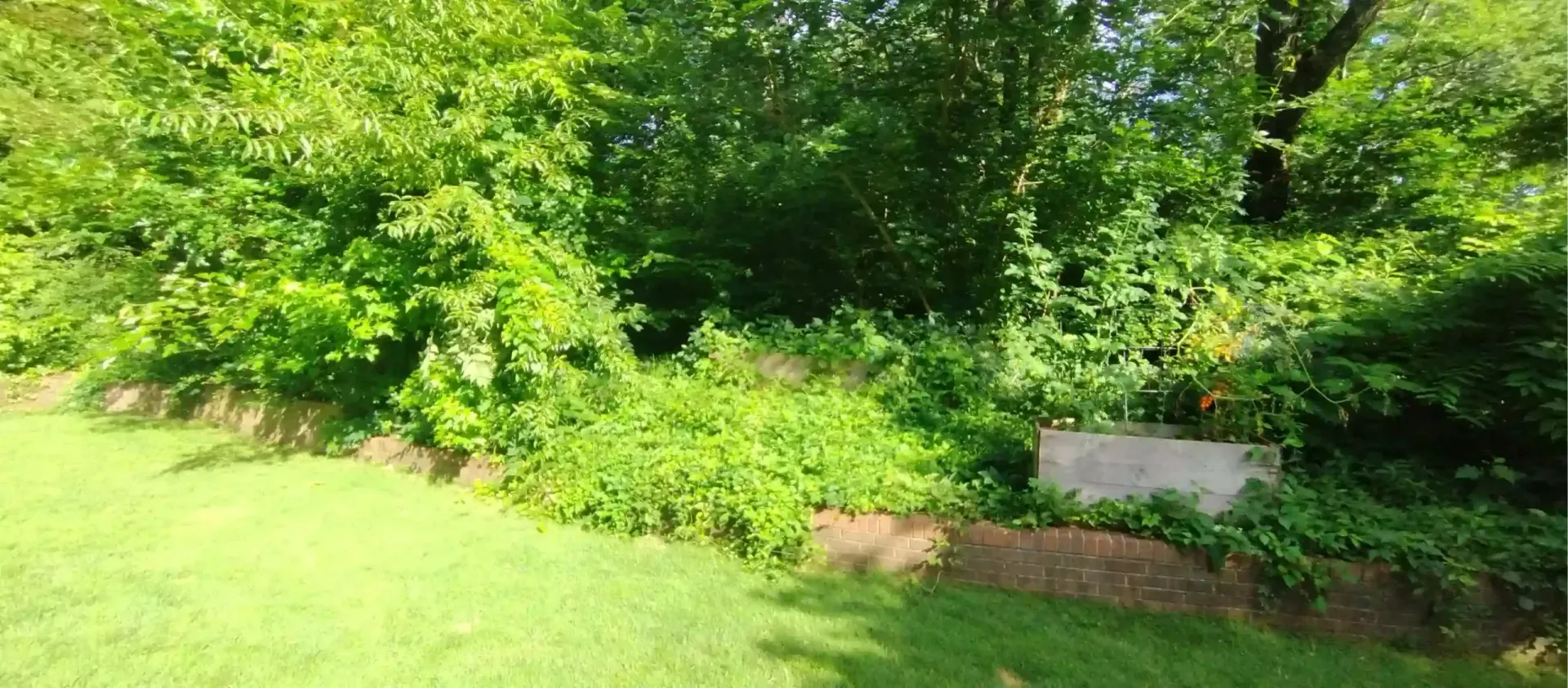 A bright green lawn leads to a dense, lush garden border filled with overgrown plants and a raised wooden planter bed.