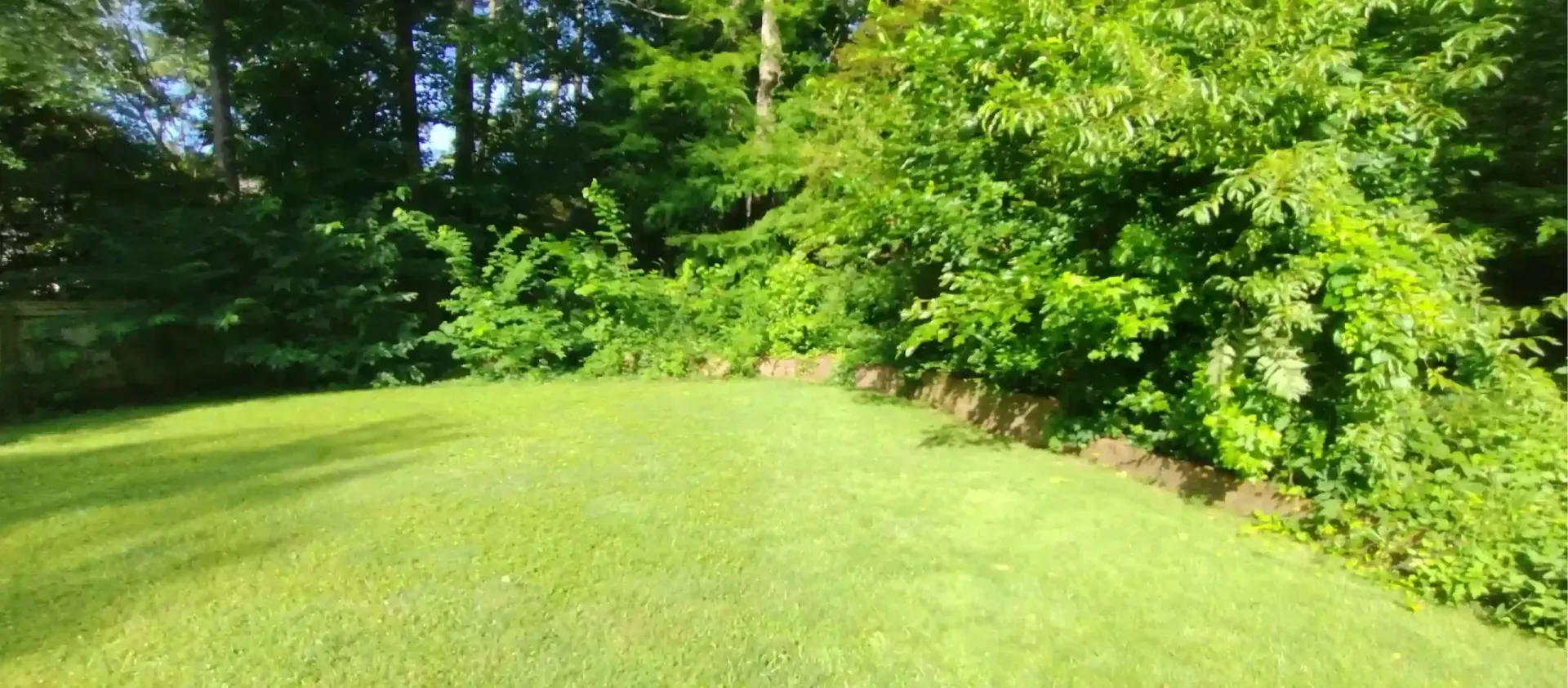 A sunlit lawn slopes upward, bordered by a dense, vibrant green tree line and lush foliage.