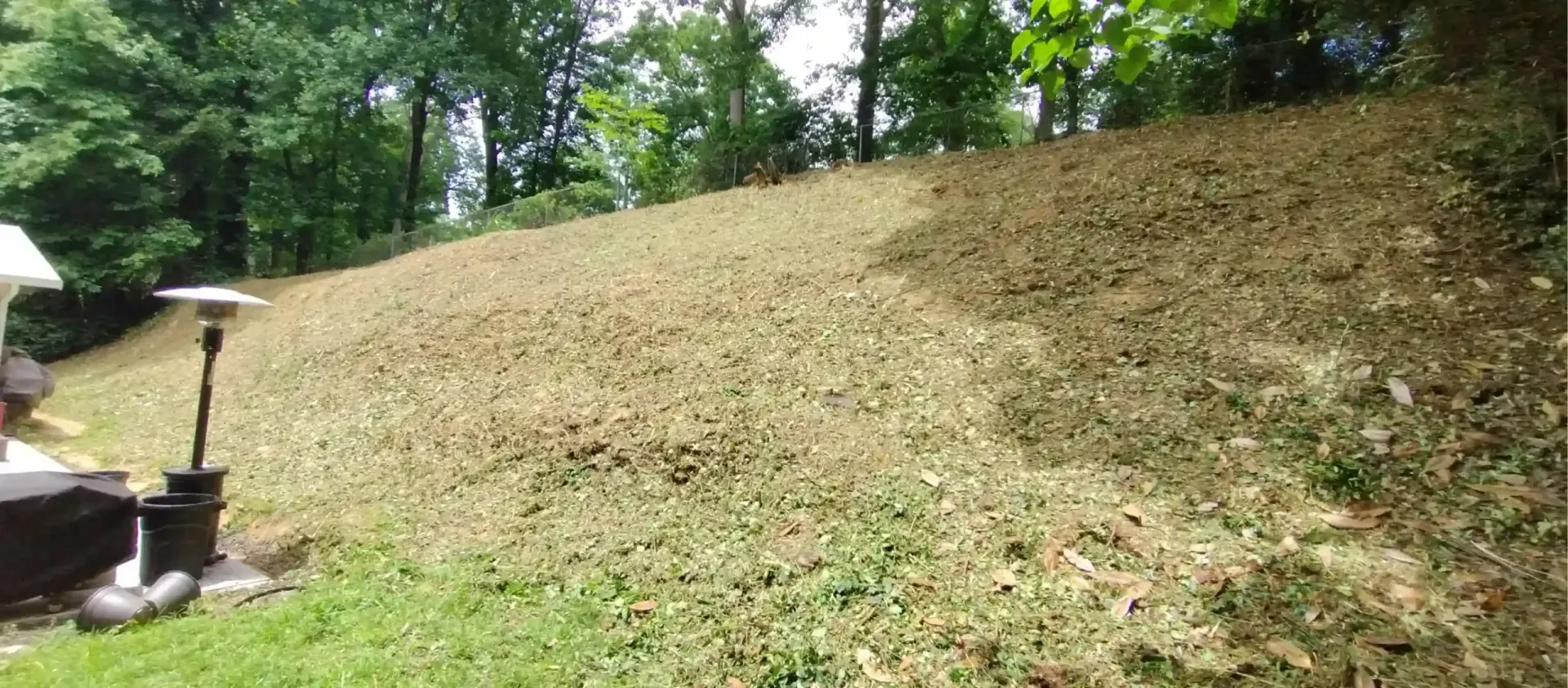 A grassy hillside with a freshly mowed area next to taller, darker vegetation under trees near a patio.