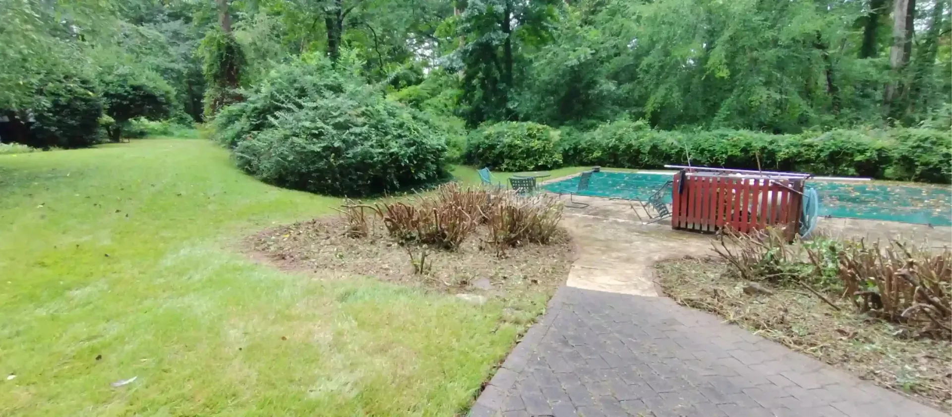 A grassy backyard area with a central garden bed of wilted brown plants, a paved path, and a pool covered with a green tarp.