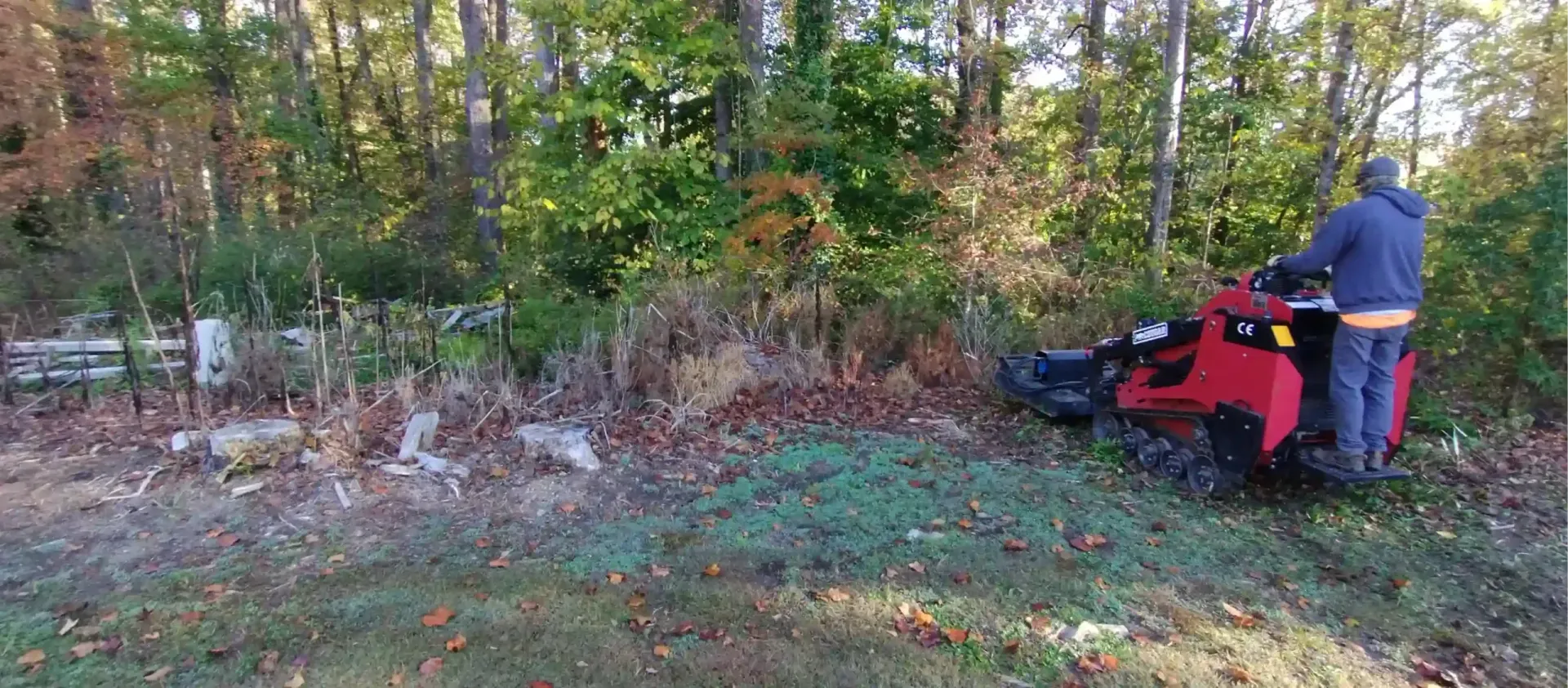 A person operating a red brush mower clears overgrown vegetation at the edge of a wooded area.