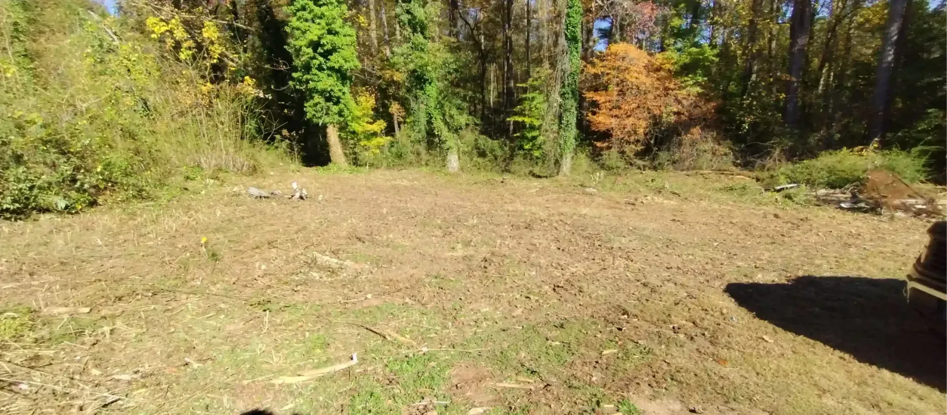 A cleared patch of dirt and sparse grass in front of a dense, sunlit forest edge with autumn foliage.