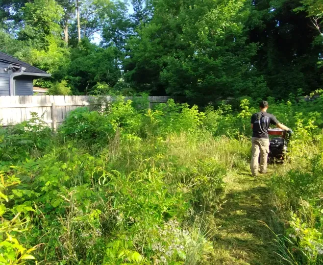 A person uses a brush mower to clear tall weeds and brush in a residential backyard next to a wooden fence. A person uses a brush mower to clear tall weeds and brush in a residential backyard next to a wooden fence.