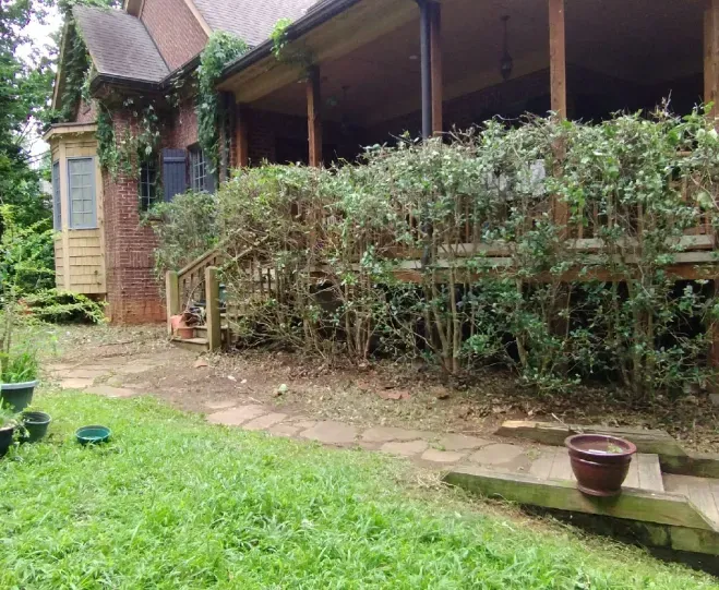 A brick house with a wooden porch and deck is bordered by a long, overgrown hedge and a stone path in a grassy yard.