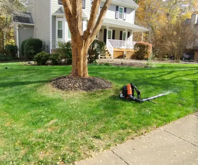A leaf blower lies on a green front lawn near a tree with a mulch bed, in front of a house on a sunny day. A leaf blower lies on a green front lawn near a tree with a mulch bed, in front of a house on a sunny day.