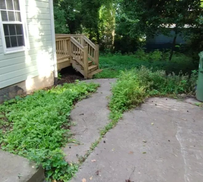 A concrete path leads toward a wooden staircase against the side of a house, surrounded by green ground cover plants. A concrete path leads toward a wooden staircase against the side of a house, surrounded by green ground cover plants.
