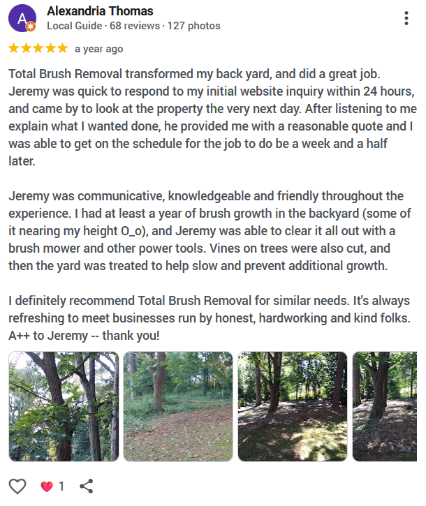 Google review for Total Brush Removal